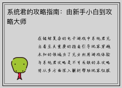 系统君的攻略指南：由新手小白到攻略大师